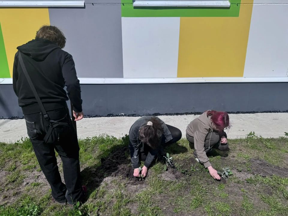 Акция «Марафон зелёных дел» Акция «Марафон зелёных дел»