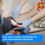 Как сдать кровь в первый раз: руководство для начинающих доноров