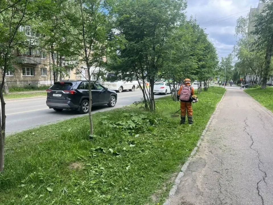 Максим Мартышин: Продолжаем работу по благоустройству города Максим Мартышин: Продолжаем работу по благоустройству города