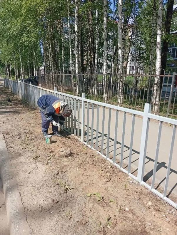Максим Мартышин: Продолжаем работу по благоустройству города Максим Мартышин: Продолжаем работу по благоустройству города