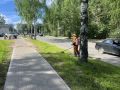 Максим Мартышин: Продолжаем наводить порядки на территориях Сыктывкара, Эжвы и пригорода