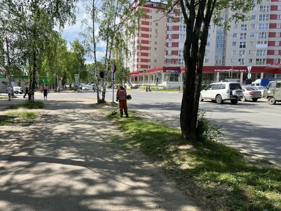Максим Мартышин: Продолжаем наводить порядки на территориях Сыктывкара, Эжвы и пригорода Максим Мартышин: Продолжаем наводить порядки на территориях Сыктывкара, Эжвы и пригорода