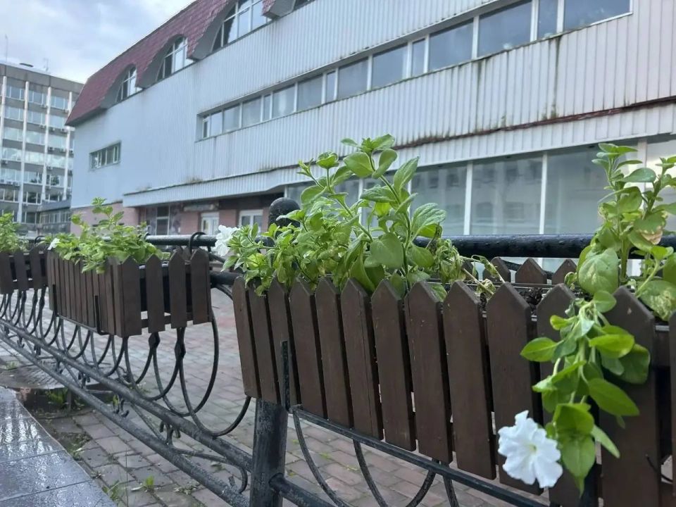 Максим Мартышин: Многие организации и предприятия города присоединились к инициативе сделать наш город по-настоящему цветущим: высадили яркие цветы, привели в порядок газоны, создали уют у своих зданий Максим Мартышин: Многие организации и предприятия города присоединились к инициативе сделать наш город по-настоящему цветущим: высадили яркие цветы, привели в порядок газоны, создали уют у своих зданий