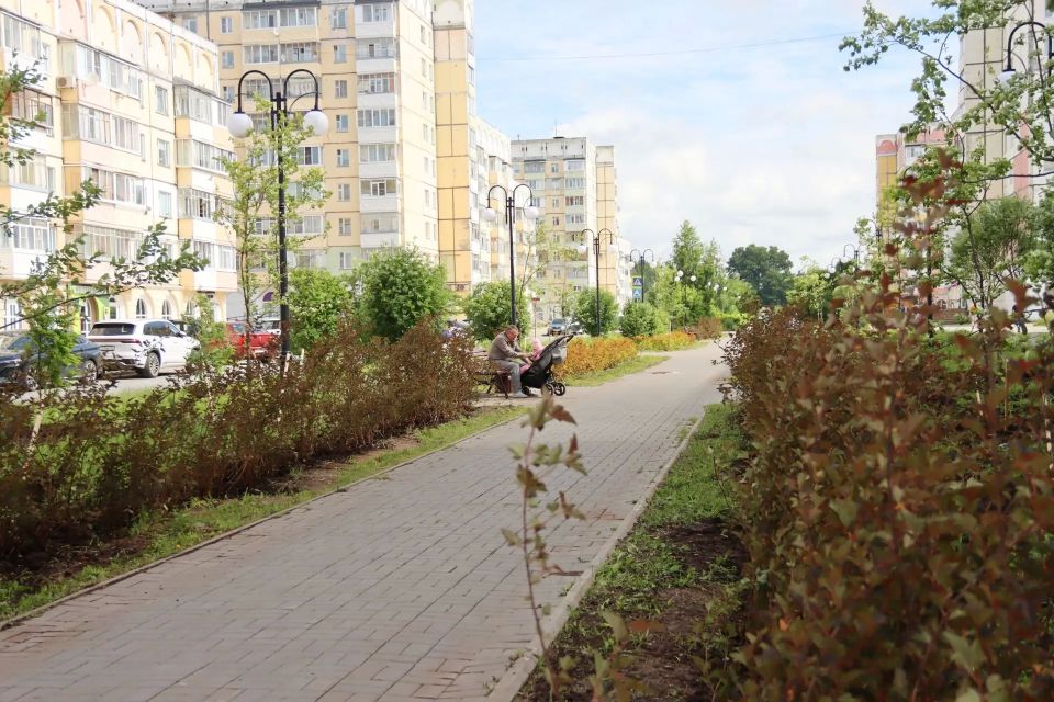 В Сыктывкаре завершился проект озеленения на территории на Покровском бульваре В Сыктывкаре завершился проект озеленения на территории на Покровском бульваре