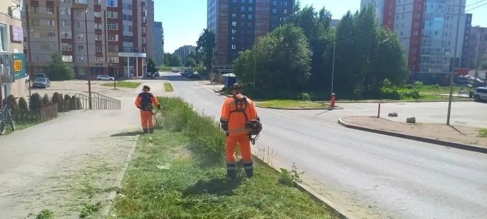 Максим Мартышин: Друзья, наведение и поддержание порядка в городе продолжается Максим Мартышин: Друзья, наведение и поддержание порядка в городе продолжается