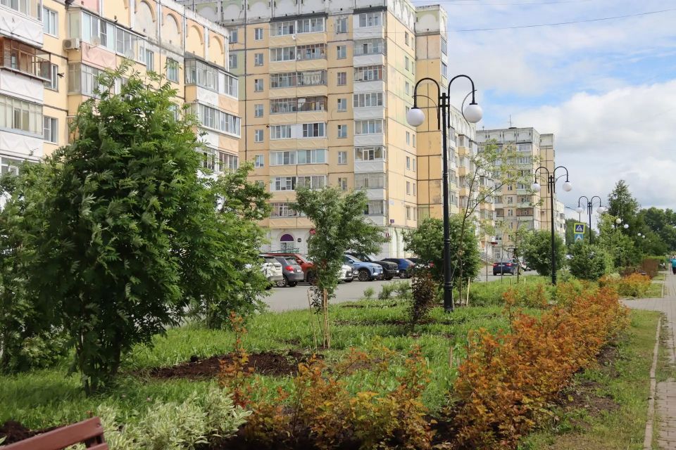 В Сыктывкаре завершился проект озеленения на территории на Покровском бульваре В Сыктывкаре завершился проект озеленения на территории на Покровском бульваре