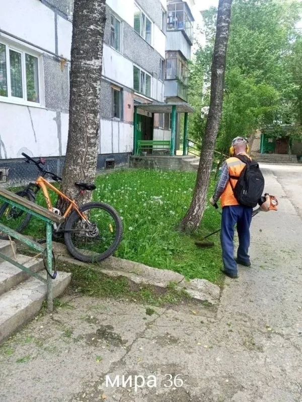 Максим Мартышин: Друзья, наведение и поддержание порядка в городе продолжается Максим Мартышин: Друзья, наведение и поддержание порядка в городе продолжается