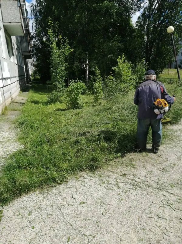Максим Мартышин: Друзья, наведение и поддержание порядка в городе продолжается Максим Мартышин: Друзья, наведение и поддержание порядка в городе продолжается