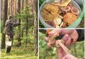 Как правильно «охотиться» на грибы: советы от опытного грибника