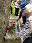 В 10:00 у памятного знака сыктывкарцам, ушедшим на фронт, в Кировском парке состоялась церемония возложения цветов