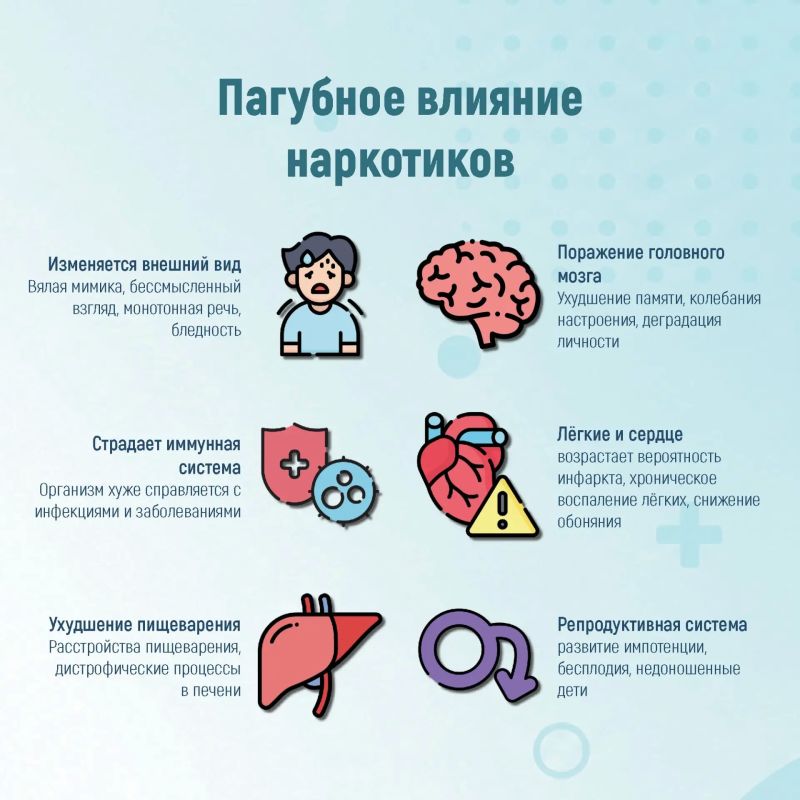 Неделя профилактики употребления наркотических средств Неделя профилактики употребления наркотических средств