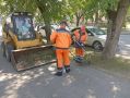 Максим Мартышин: Друзья, работы по наведению порядка, несмотря на залповый ливень, не останавливались