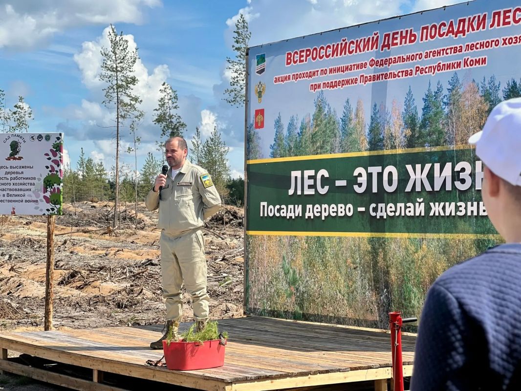 В Княжпогостском районе высадили более 4 тысяч сеянцев сосны В Княжпогостском районе высадили более 4 тысяч сеянцев сосны