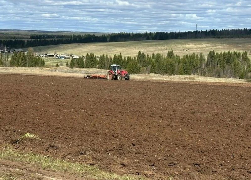 В Коми продолжаются полевые работы