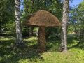 Новый гастрономический бренд Коми: 5 и 6 сентября в Финно-угорском этнопарке состоится семейный фестиваль дикоросов Севера «Гриб»