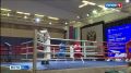 Сегодня в Сыктывкаре проходят финальные бои в рамках XIII летней Спартакиады России по боксу