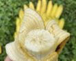 Утраченные вкусы: погружение в исчезнувшие сорта и породы