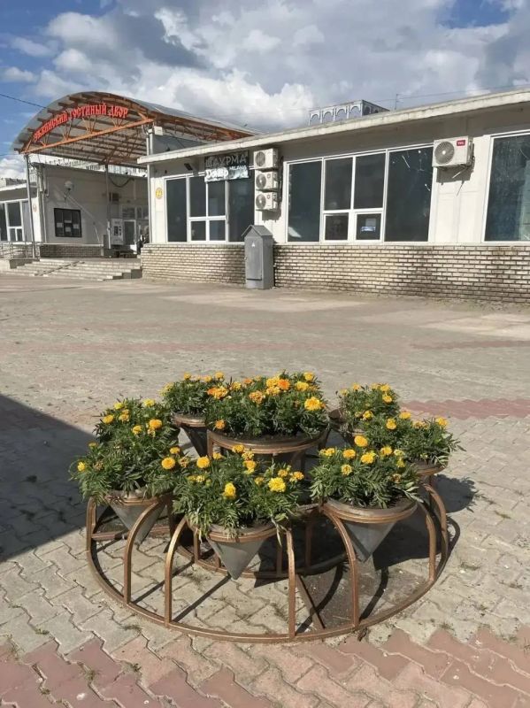 Максим Мартышин: Город продолжает преображаться с каждым днём Максим Мартышин: Город продолжает преображаться с каждым днём