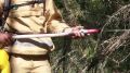 Лесопожарные из Коми помогают коллегам из других регионов