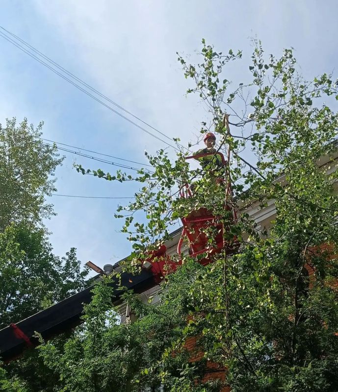 За каждым ухоженным газоном, чистой скамейкой и ровной дорогой стоит ежедневный труд людей За каждым ухоженным газоном, чистой скамейкой и ровной дорогой стоит ежедневный труд людей