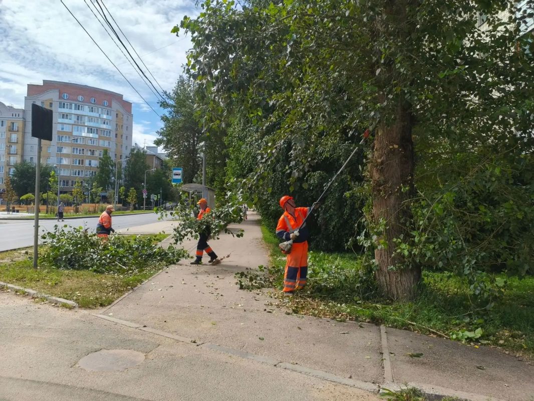 В Сыктывкаре каждый день продолжается плановая работа по благоустройству В Сыктывкаре каждый день продолжается плановая работа по благоустройству