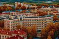 Максим Мартышин: Даже нейросеть поняла, что наш Сыктывкар, он не просто северный, он тёплый