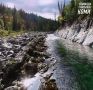 Как работает «Гектар в Арктике» в Республике Коми?
