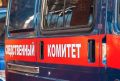 Жительница Печоры подозревается в совершении преступлений в отношении своих детей