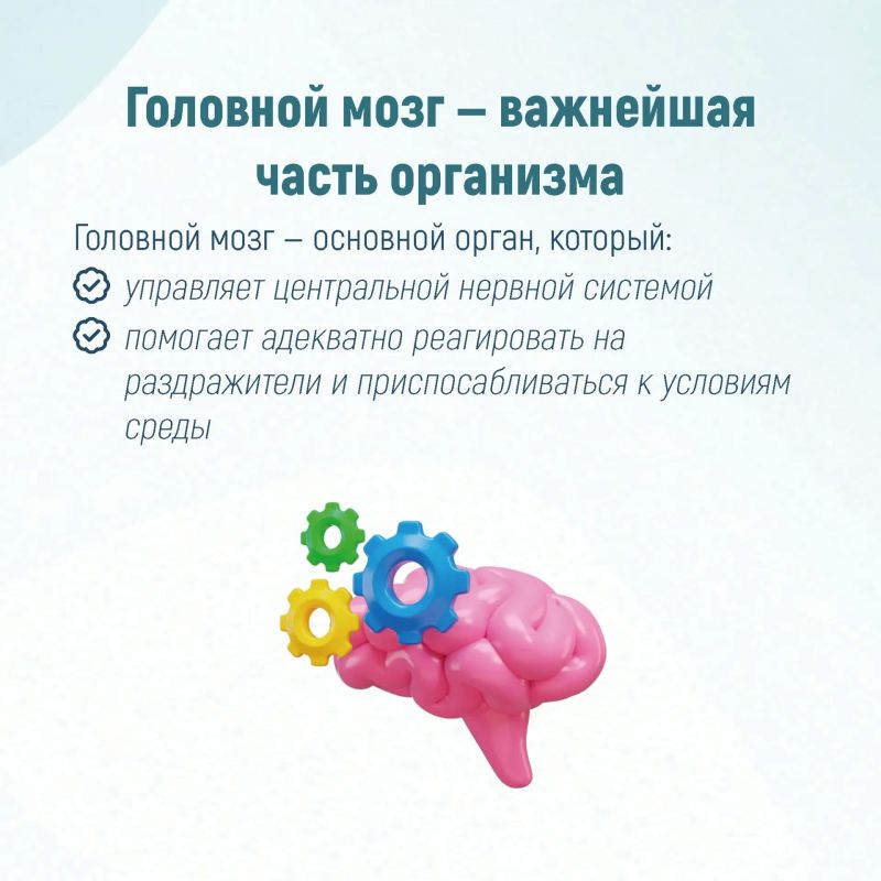 Неделя сохранения здоровья головного мозга Неделя сохранения здоровья головного мозга