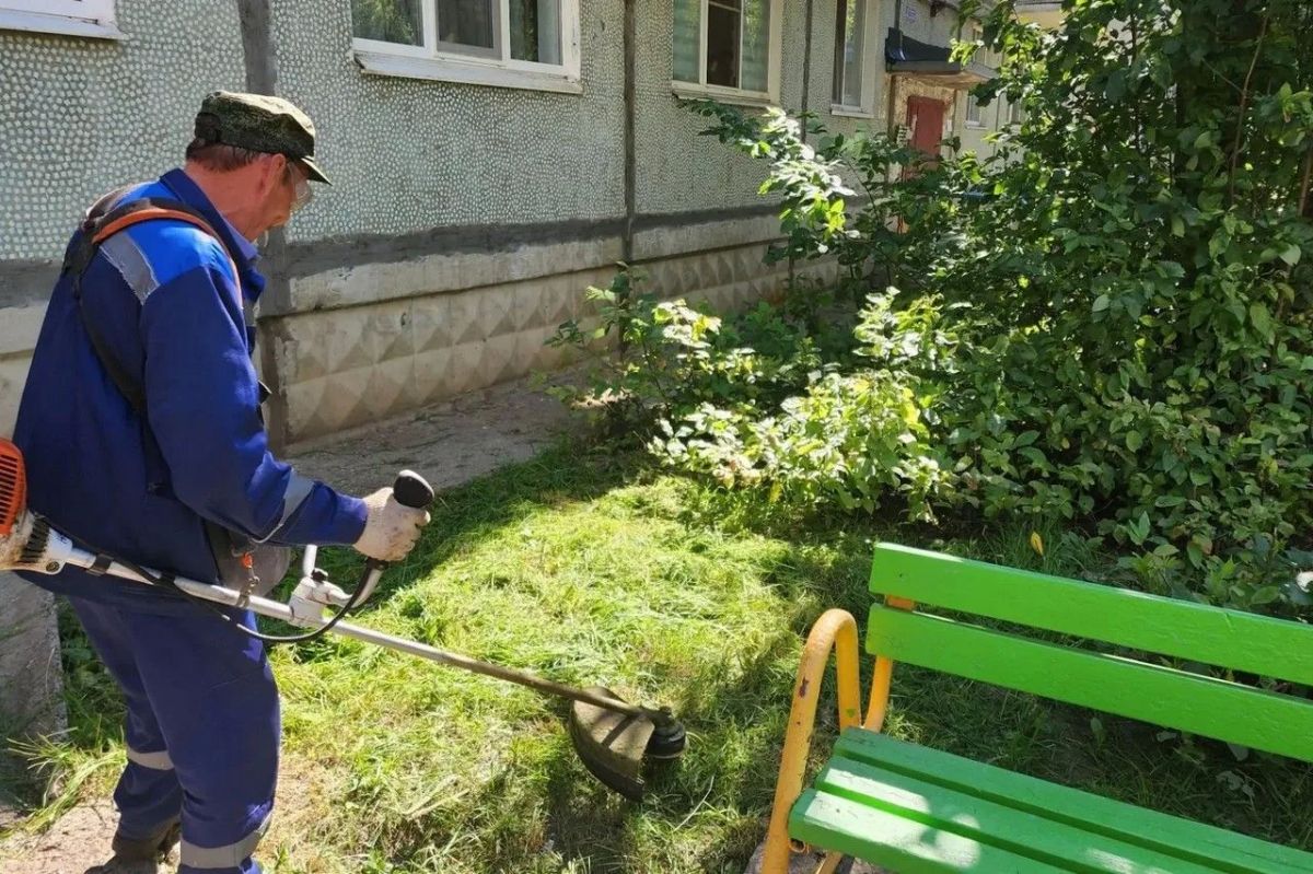 Максим Мартышин: Рутина, которая делает город лучше