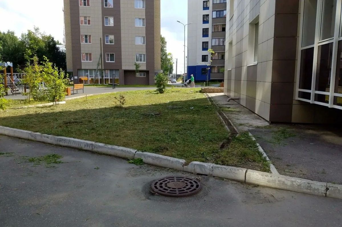 Максим Мартышин: Рутина, которая делает город лучше Максим Мартышин: Рутина, которая делает город лучше