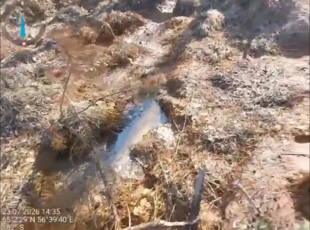В Каджеромском лесничестве выявлен факт нефтезагрязнения В Каджеромском лесничестве выявлен факт нефтезагрязнения