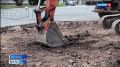 � ���������� ������������� ������� ������� ����� �� ������� ��������� ���� � ����������������