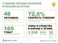За прошедшие сутки в 13 регионах России потушили 48 лесных пожаров
