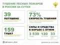 За прошедшие сутки в 17 регионах России потушили 39 лесных пожаров
