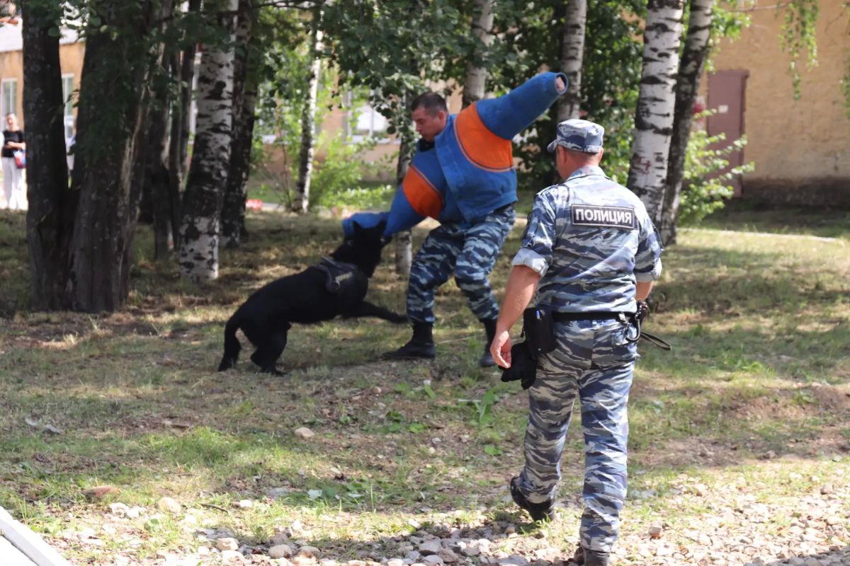 В Сыктывкаре полицейские провели профориентационное занятие для детей участников СВО В Сыктывкаре полицейские провели профориентационное занятие для детей участников СВО