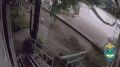 В Сыктывкаре задержан вандал, разгромивший остановочный комплекс