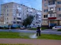В Усинске две общественные территории обработали от комаров и мошек