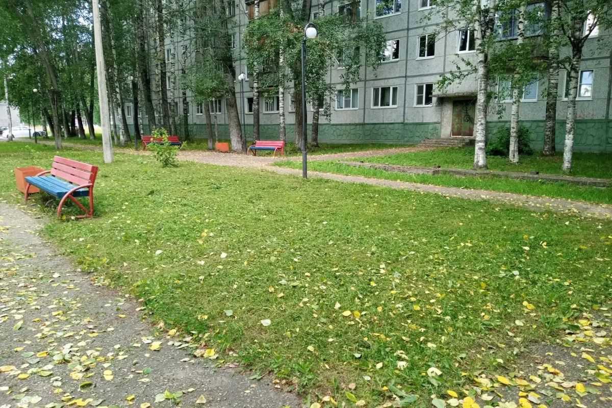 Максим Мартышин: Подрядчик заканчивает второй заход по покосу травы на общественных территориях Эжвинского района Максим Мартышин: Подрядчик заканчивает второй заход по покосу травы на общественных территориях Эжвинского района