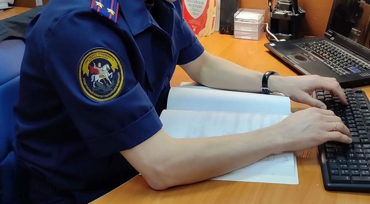 Жительница Усть-Вымского района обвиняется в хищении чужого имущества