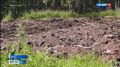 Семья интинки Марины Майоровой вступила в программу «Арктический гектар» и уже приступила к освоению своего участка