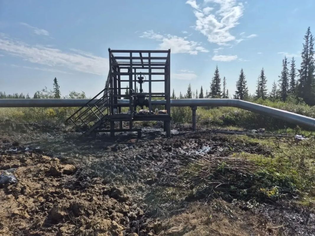 В Усинском районе Республики Коми устраняют последствия нефтеразлива на площади 0,5 га, сообщили в Минприроды региона В Усинском районе Республики Коми устраняют последствия нефтеразлива на площади 0,5 га, сообщили в Минприроды региона