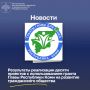 Результаты реализации десяти проектов с использованием гранта Главы Республики Коми на развитие гражданского общества