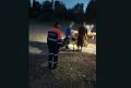 В Усть-Цилемском районе спасатели эвакуировали пострадавшего в ДТП подростка