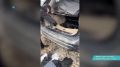 ���������� ����� ��������� � ������������ ��� �������� ������������ ��������������� ���������� ������