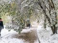 На севере Коми может выпасть снег