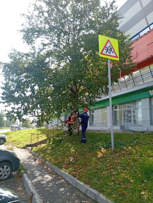Максим Мартышин: Осень постепенно вступает в свои права, разбрасывая повсюду листву, и нам приходится прибираться за ней, параллельно выполняя все привычные задачи Максим Мартышин: Осень постепенно вступает в свои права, разбрасывая повсюду листву, и нам приходится прибираться за ней, параллельно выполняя все привычные задачи