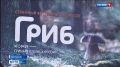 Сегодня в столичном парке имени Кирова проходит семейный фестиваль дикоросов «Гриб»