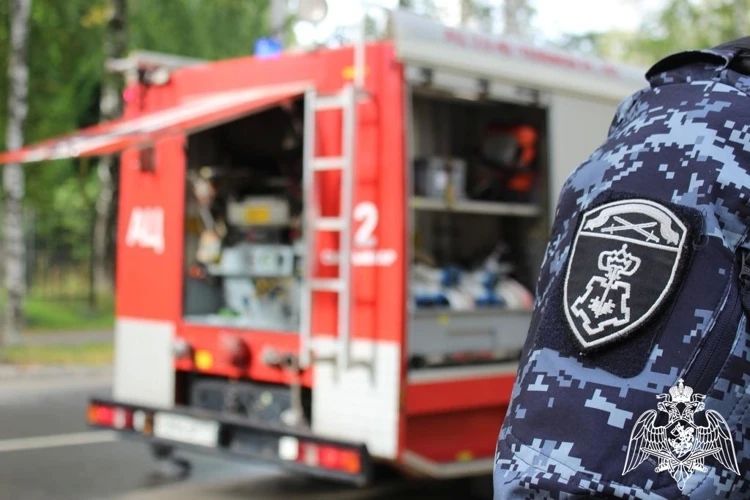 В Сыктывкаре прошли совместные пожарно-тактические учения Росгвардии и МЧС В Сыктывкаре прошли совместные пожарно-тактические учения Росгвардии и МЧС