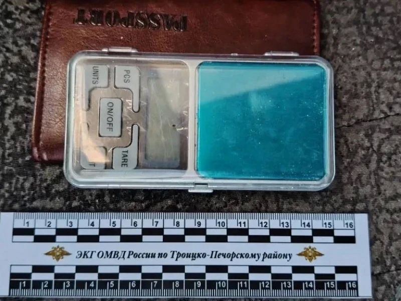 В Троицко-Печорском районе полицейские пресекли попытку сбыта крупной партии гашиша В Троицко-Печорском районе полицейские пресекли попытку сбыта крупной партии гашиша